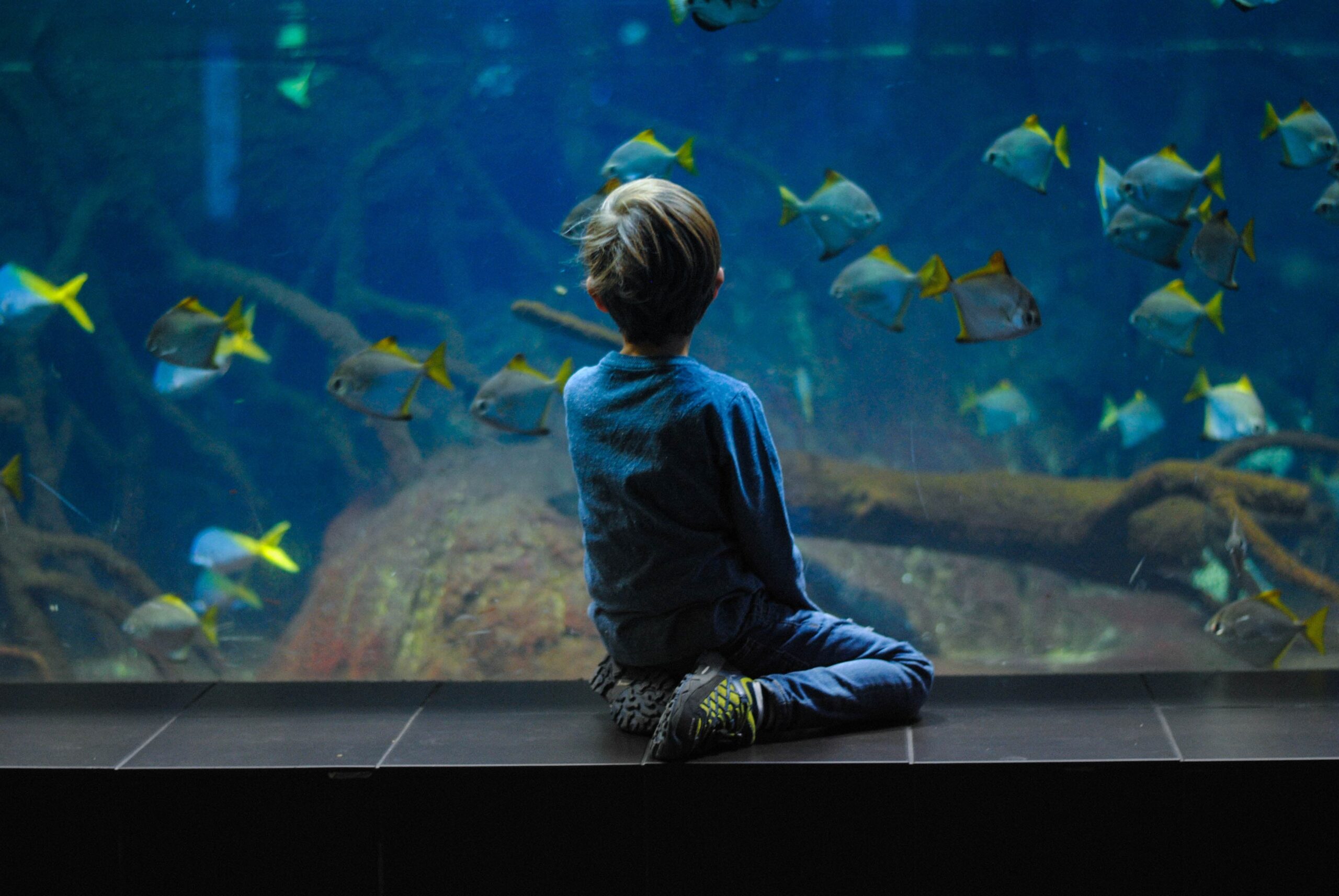 One Perfect Learning Day at the New York Aquarium